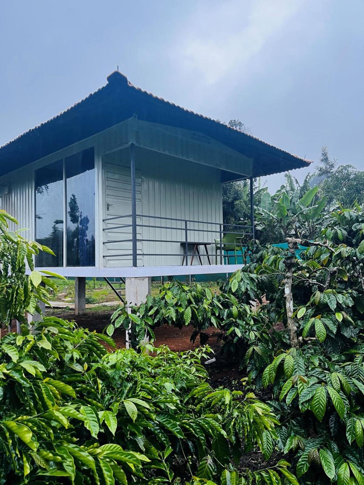 Vigo Homes Sakleshpur Dış mekan fotoğraf